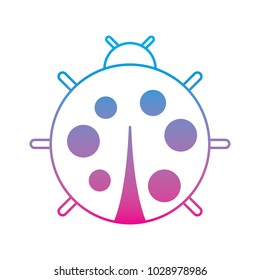 cute ladybug dotted animal insect wildlife