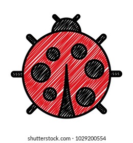 cute ladybug dotted animal insect wildlife