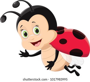 cute ladybug flying isolated on white background