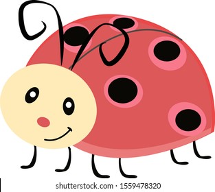 Cute ladybug, illustration, vector on white background.