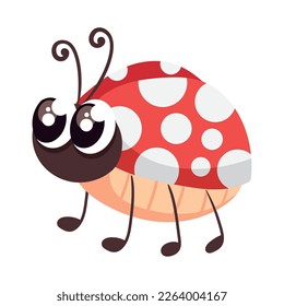cute ladybug insect animal icon