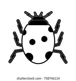 Cute ladybug insect icon vector illustration graphic design