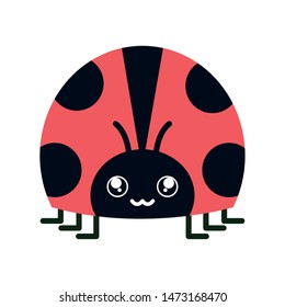 cute ladybug insect kawaii character