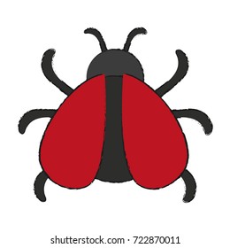 Cute Ladybug isolated