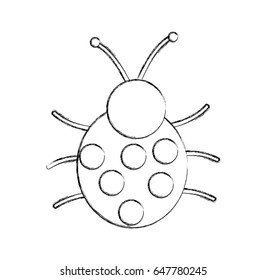 cute ladybug isolated icon