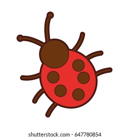 cute ladybug isolated icon
