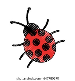cute ladybug isolated icon