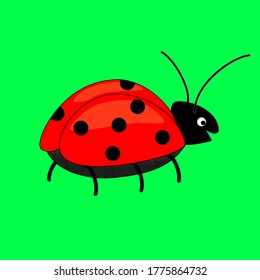 Cute ladybug or ladybird. Simple flat design of black and red lady beetle. Vector illustration isolated on green background