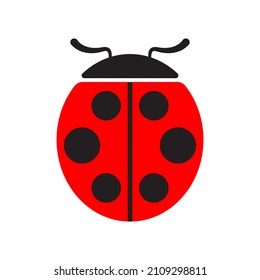 Cute ladybug or ladybird simple flat design red and black. Vector illustration isolated on white background.