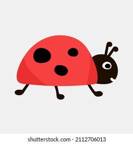 Cute ladybug oder Ladybird einfaches flaches Design. Vektorgrafik einzeln auf weißem Hintergrund