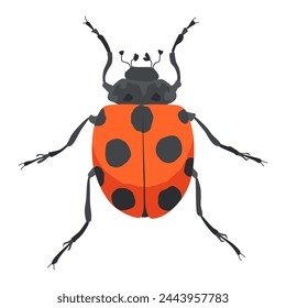 Cute ladybug or ladybird simple flat design red and black. Vector insect illustration isolated on white background
