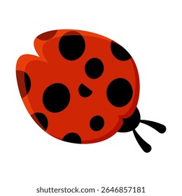 Cute ladybug or ladybird simple flat design red and black. Vector illustration isolated on white background