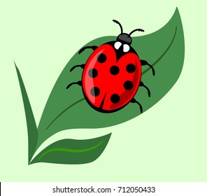 Cute ladybug on green leaf isolated on light green background. Vector ladybird illustration, beautiful red beetle with seven dots on his wing case. Vector EPS 10