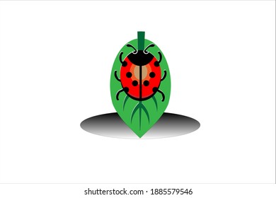 Cute Ladybug on the leaf