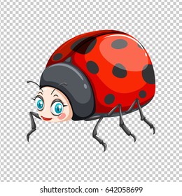 Cute ladybug on transparent background illustration