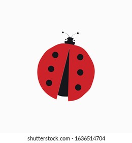 Cute ladybug on white background