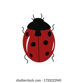 Cute ladybug en un fondo blanco. Ilustración vectorial.