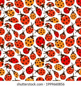 Cute ladybug pattern insect colorful seamless background