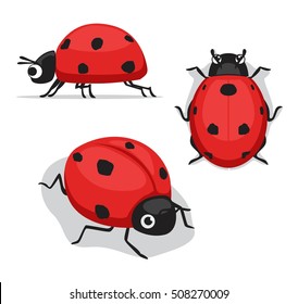 Cute Ladybug Poses Cartoon Vector Illustration