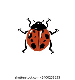 Cute ladybug, realistic ladybird, garden coccinellidae, lady beetle. Red bug with black spots. Spotted insect. Small flying animal. Macro nature. Flat isolated hand drawn vector illustration on white