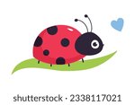 Cute ladybug sitting on green leaf. Funny little ladybird insect cartoon vector illustration