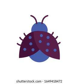 cute ladybug spring insect flat style vector illustration design