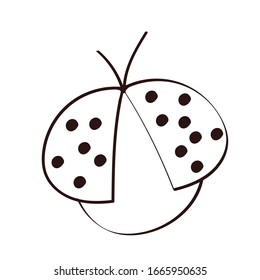 cute ladybug spring insect line style vector illustration design