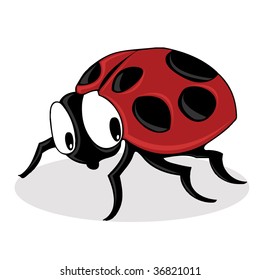 cute ladybug vector
