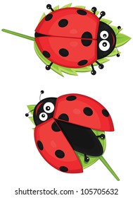 Cute ladybug vector illustration