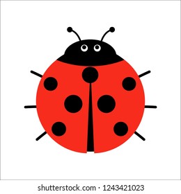 Cute Ladybug vector illustration in flat style. Cartoon beetle ladybug isolated from the background