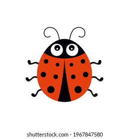 cute ladybug vector illustration in flat style, cartoon beetle ladybug isolated on white background, design for children