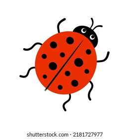cute ladybug vector illustration in flat style, colorful cartoon beetle isolated on white background, red insect with black dots