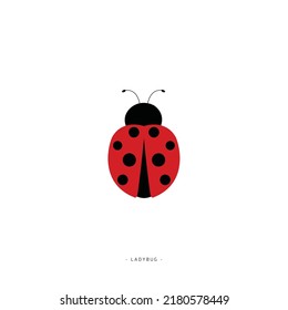 
Cute ladybug vector illustration. Icon