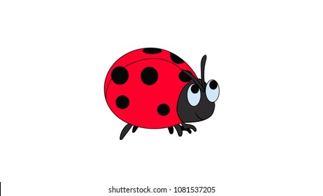 cute ladybug, vector, on white background