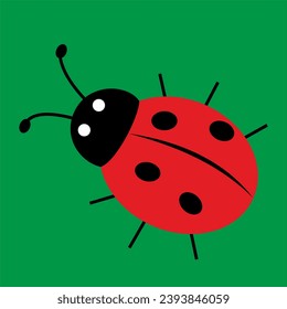 lindo ladybug,ladybird doble punto, escarabajo, ilustración vectorial, color rojo en fondo verde