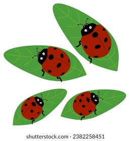 Cute ladybugs on the leaf.