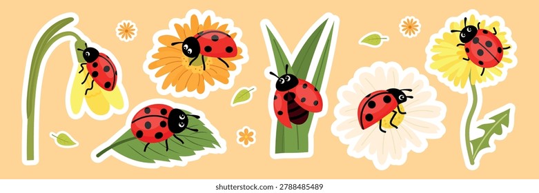 Cute ladybugs sticker sheet vector set. Flat ladybird characters on summer flowers and leaves with white outline for kids.