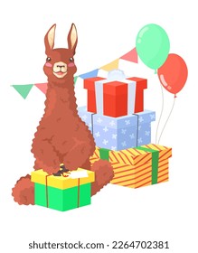 Cute lama alpaca animal birthday celebration flat vector icon. Funny llama character sitting near gift boxes and smiling cartoon illustration isolated on white background