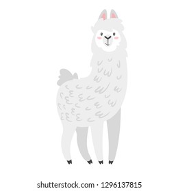 Cute lama. Alpaca animal. Vector illustration, isolated on white background. Design for poster, sticker or t-shirt.
