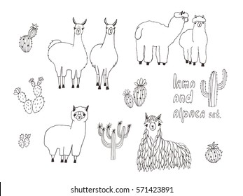 Cute Lama, Alpaca and cactuses set. Hand drawn vector illustration