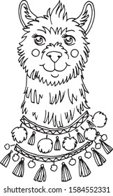 Cute Lama alpaca. Coloring book. Vector illustration.