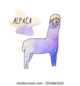 Cute Lama, Alpaca. Hand drawn vector illustration. For  cards, notes, stickers, labels, tags 