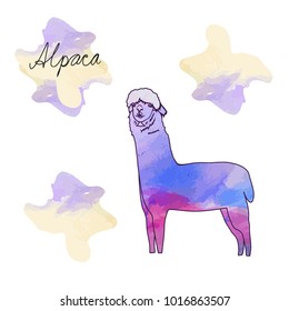 Cute Lama, Alpaca. Hand drawn vector illustration. For  cards, notes, stickers, labels, tags 