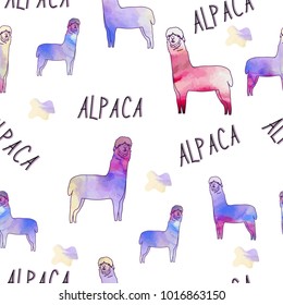 Cute Lama, Alpaca pattern. Hand drawn vector illustration. Design, cards, banners, invitations, clothes, textile 