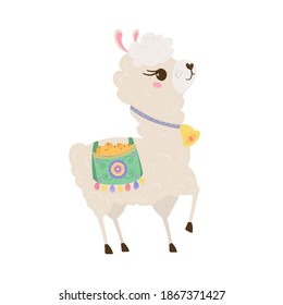 Cute lama with a bell carries a bag of oranges in pastel colors isolated on white background . Funny baby animal. Alpaca for your child's room design. Vector illustration