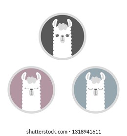 Cute Lama. It can be used for greeting card, mug, brochures, poster, label, sticker etc. 