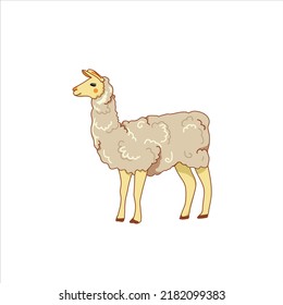 Cute lama. Colored vector illustration on a white background.