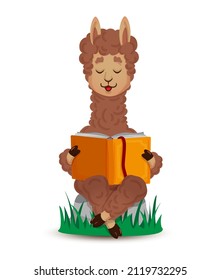 Cute lama is reading lying down, leaning on a stack of books. Vector ,illustration in cartoon style, line art, flat
