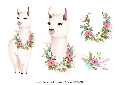 Cute Lama realistic vector character design with wild Flowers. Artistic botanical bohemian animal design, hand drawn lama illustration clip art, vector design in watercolor style.