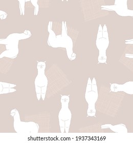 Nahtloses Muster aus dem Lama-Rutsch. Design für Stoffe, Textilien, Tapeten und Dekoration.
